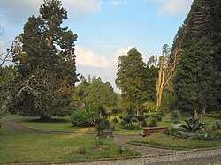 Botanical garden - Cibodas - Indonesia 4